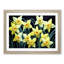 XH1022-644X Angelical Daffodil Flowers - Single Picture Frame Painting-1282436291-1282436292