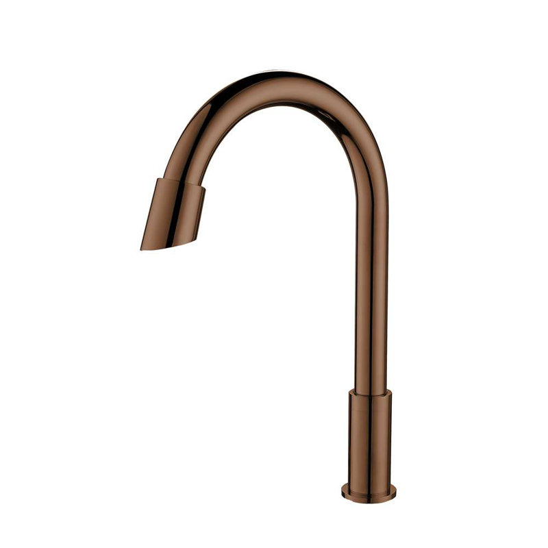 FontanaShowers Rio