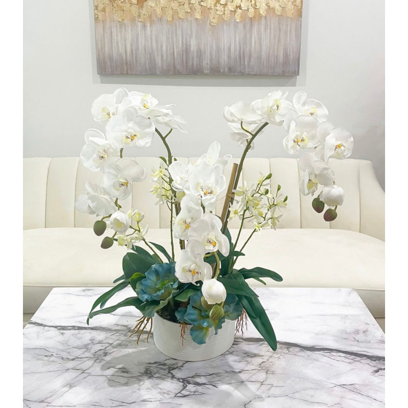 Arrangement d'orchidées Malden dans un vase