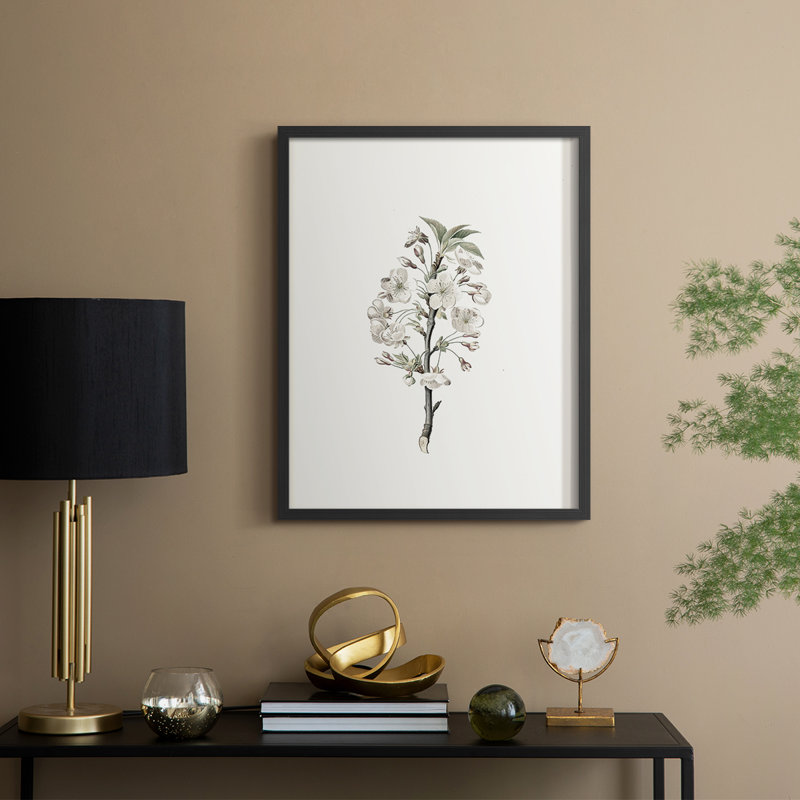 Reproduction florale vintage encadrée CL XXXVI - bois massif, Noir, noir, noir, noir, H 21 po x l 17 po