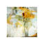 Logic Print by Jill Martin-26696947