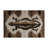 Dinosaurs Brown Indoor and Outdoor Area Rug-707471380