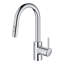 Concetto™ Pull Down Single Handle Kitchen Faucet with Accessories-39243804