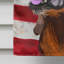 Polyester à 2 côtés 28 x 40 po drapeau maison-1879434717