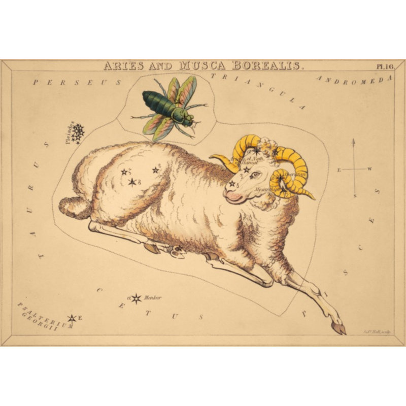 Aries Print by Grand Archives, Gold Framed, 32" H x 45" W