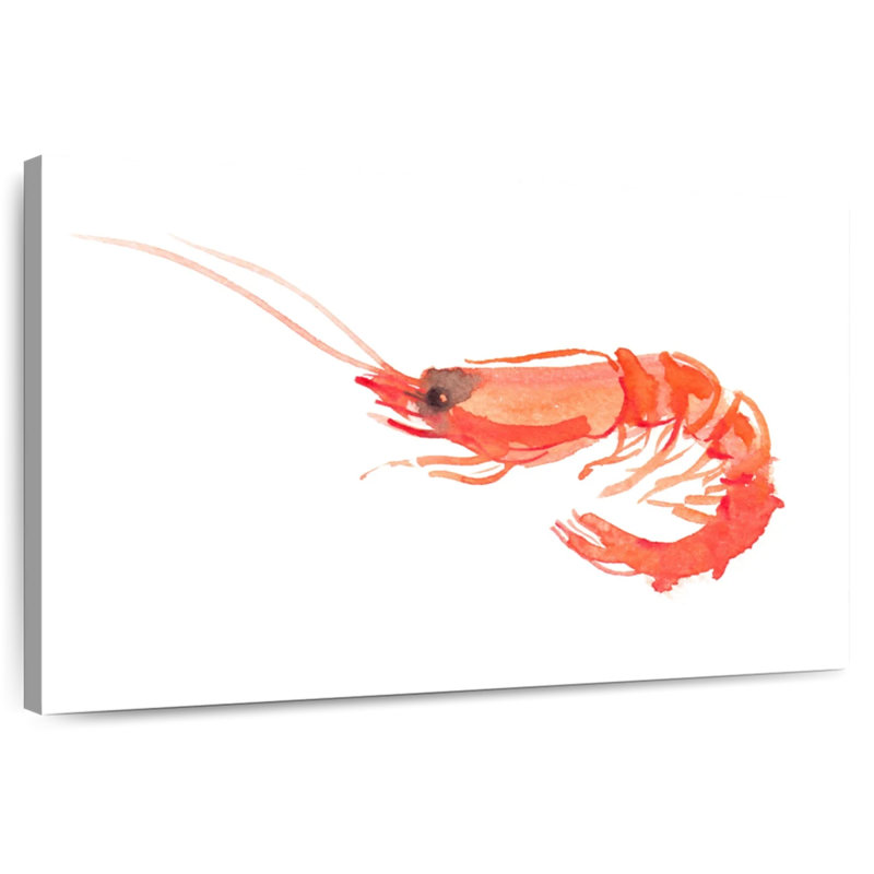 Brampt crevette orange, 8" H x 12" W