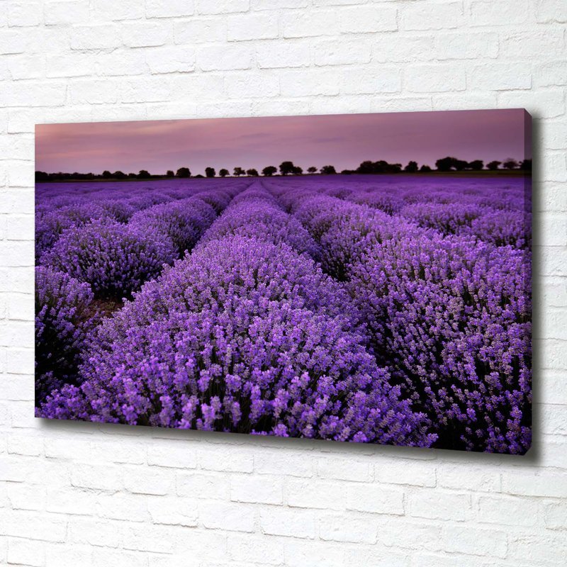 Lavender Field - Wrapped Canvas Print