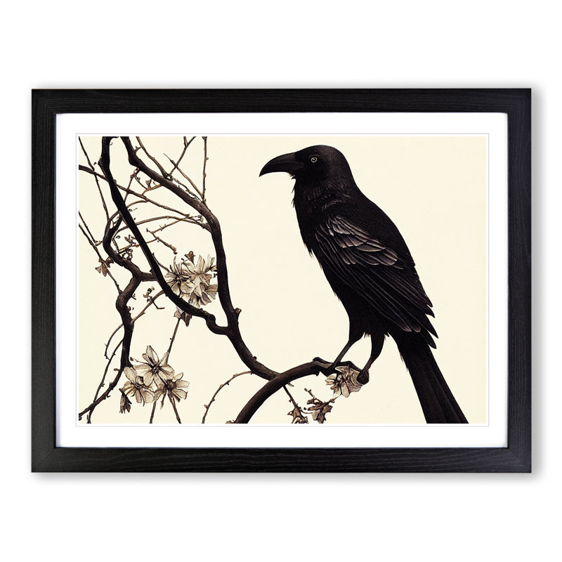 Terrific Crow Bird - Framed Print, Black Framed, 46cm H x 64cm W x 2cm D