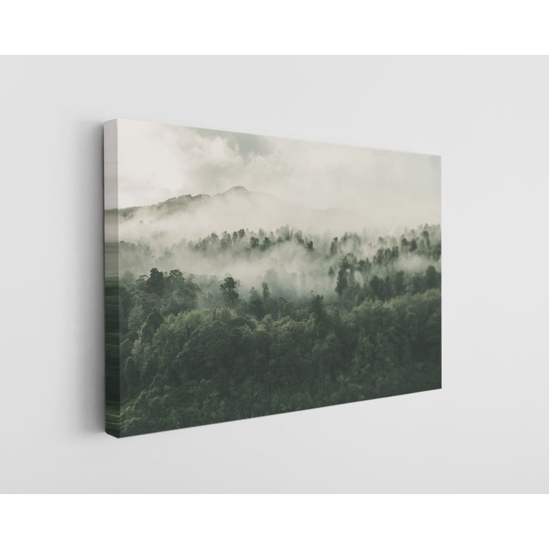 Forêt brumeuse de Nouvelle-Zélande, reproduction sur toile, H 24 po x l 36 po