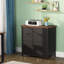 78cm Wide 2 -Drawer File Cabinet-1162867469