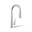 Tone Single Handle Pull Down Kitchen Sink Faucet with Three-Function Pull Down Sprayer-1818499651