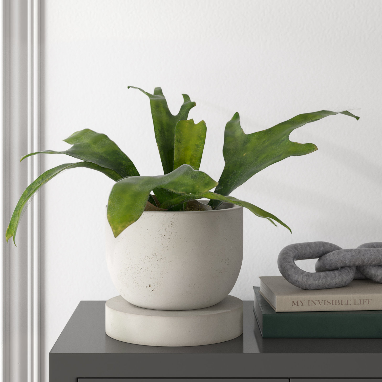 Icarus Ceramic Pot Planter, 11" H x 12" W x 12" D