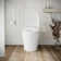 Streamline LT-792 Tankless 1.28 GPF Elongated Smart Toilet Bidet in White with Front/Rear Wash, Massage Wash, Auto Flush, Soft Close, Nightlight, Auto Open and Auto Close, UV Sterilization, Foot Sensor, Deodorization, Auto Flush,Heated Seat,Dryer,Remote