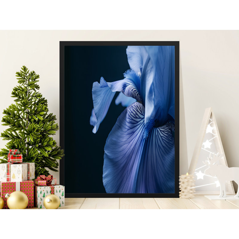 Condit Single Picture Frame Print, 40.64 cm H x 30.48 cm W