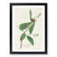 Warbler Bird by John Audubon - Picture Frame Painting Print-55605481-55605482