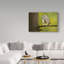 «Little Owl» par Haldun, reproduction de photo sur toile tendue-30317727