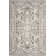 Calidia Oriental Dark Grey/Cream Area Rug