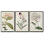Ensemble de 3 papillons bleus antiques I encadrés sur toile-97760098-97760104