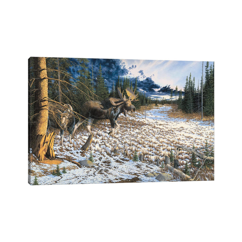 Moose by Bob Schmidt - Wrapped Canvas Gallery-Wrapped Canvas Giclée, 101.6 cm H x 66.04 cm W x 3.175 cm D