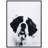 " Saint Bernard " Mixed Media and Black and White Photography Print