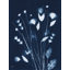 Indigo Wildflower par Julie Norkus