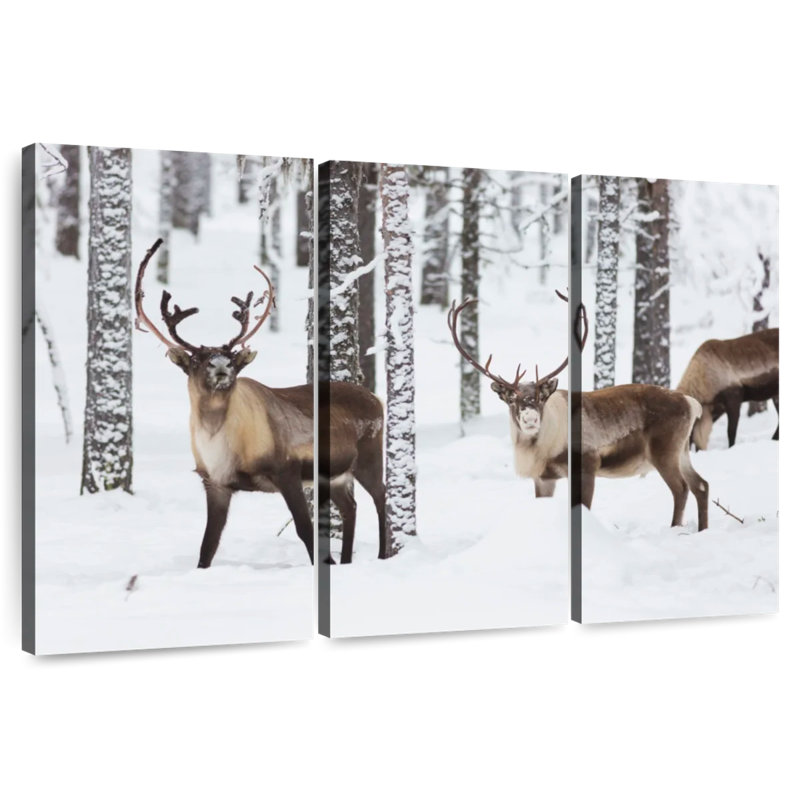 Brampt Roaming Winter Reindeer, 36" H x 57" W