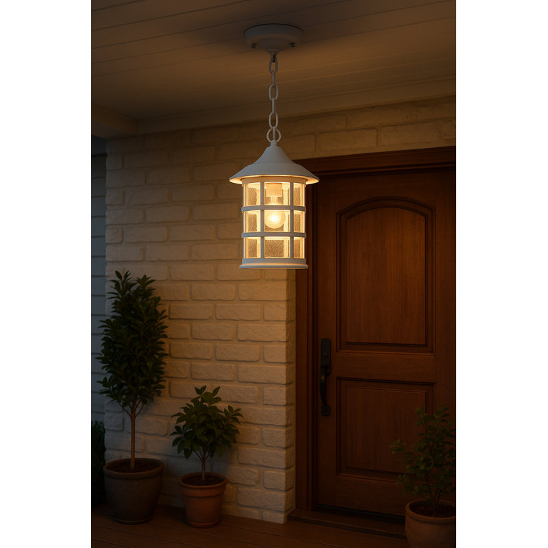 Freeport 1 Light Outdoor Hanging Lantern, Clear Seedy, Medium, Classic White