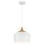 Luminaire suspendu en forme de dôme à 1 lumière Gagne 1-256500081-189802673