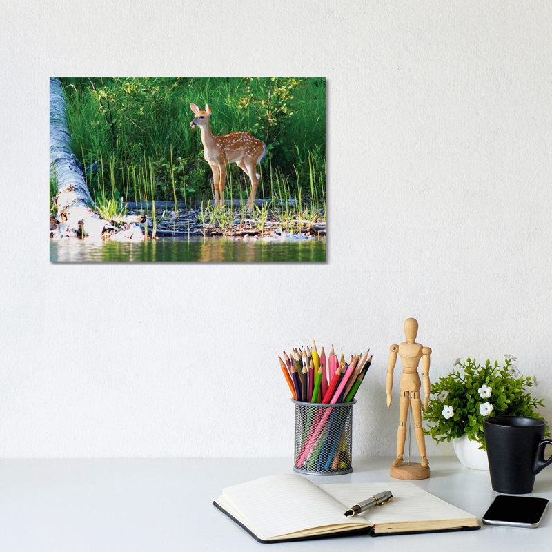 Young Fawn by Brian Wolf - Wrapped Canvas Print