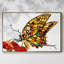 Wings II-92482464-92482463