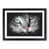 Black Framed selected