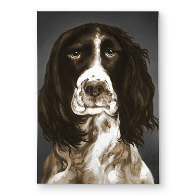 Brown English Springer Spaniel Outdoor Area Rug | Contemporary Pets
