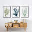 Coral Souvenirs II, reproduction sur toile 3 pièces-91891401-91891406
