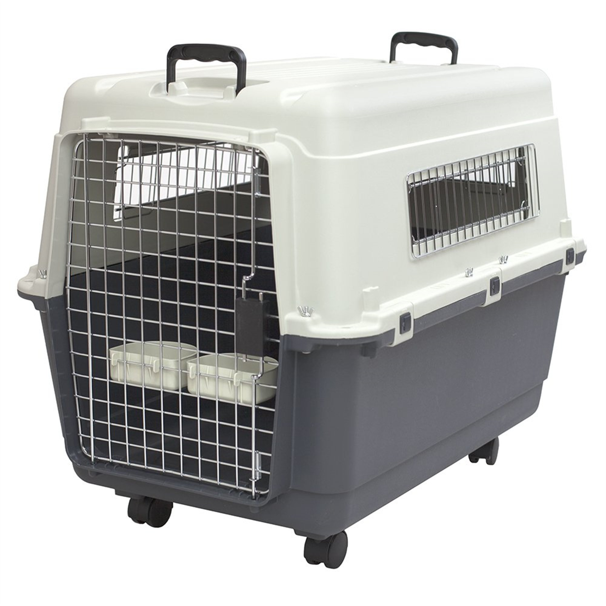 Ivy Bronx Plastic Kennels Rolling Plastic Wire Door Travel Dog Crate