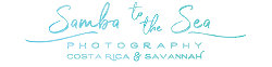 Samba to the Sea Logo