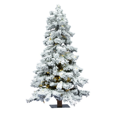 6' Lighted Spruce Christmas Tree