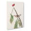 Louisiana Water Thrush - Wrapped Canvas Painting-55365542