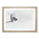 Magpie in Flight in Abstract - Picture Frame Graphic Art Print