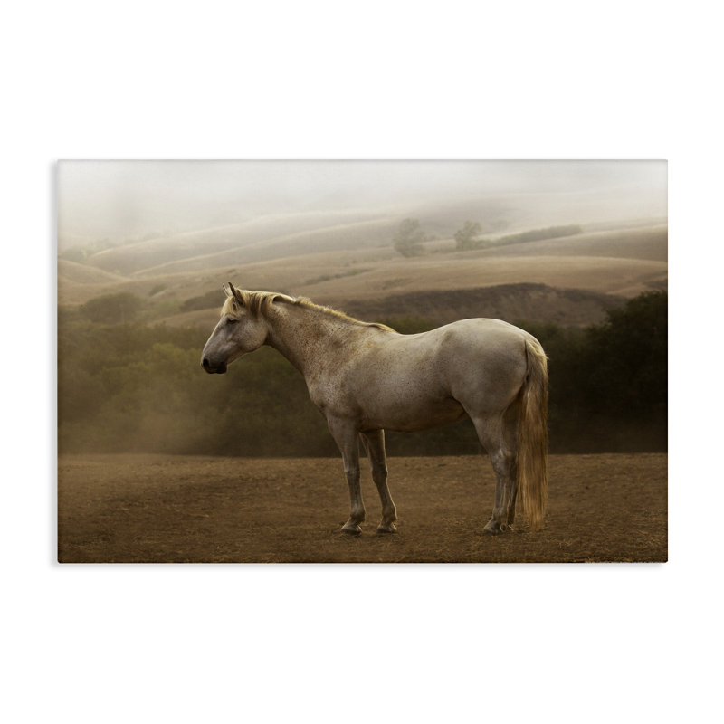 «Morning Mist Horse Portrait», art mural par Jadei, H 16 po x l 24 po