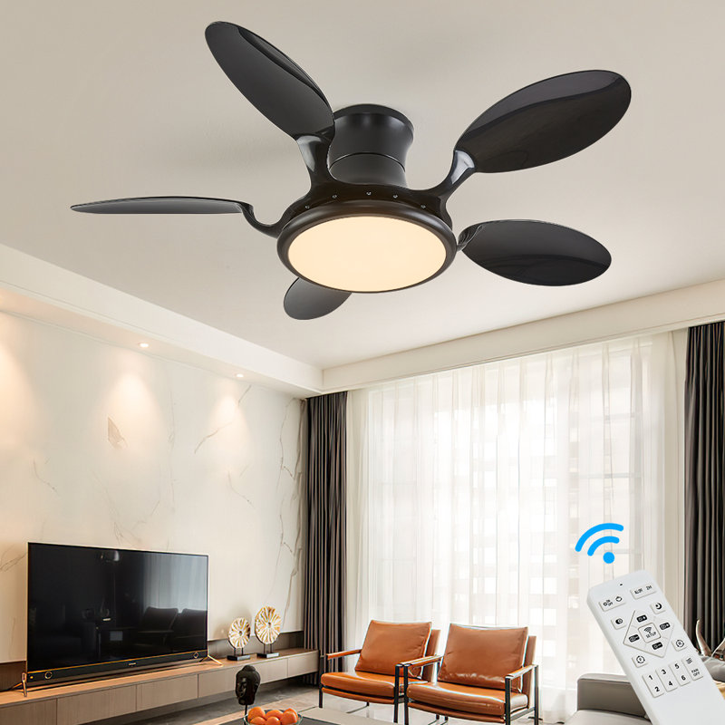 Argimiro 122cm Ceiling Fan with LED Lights