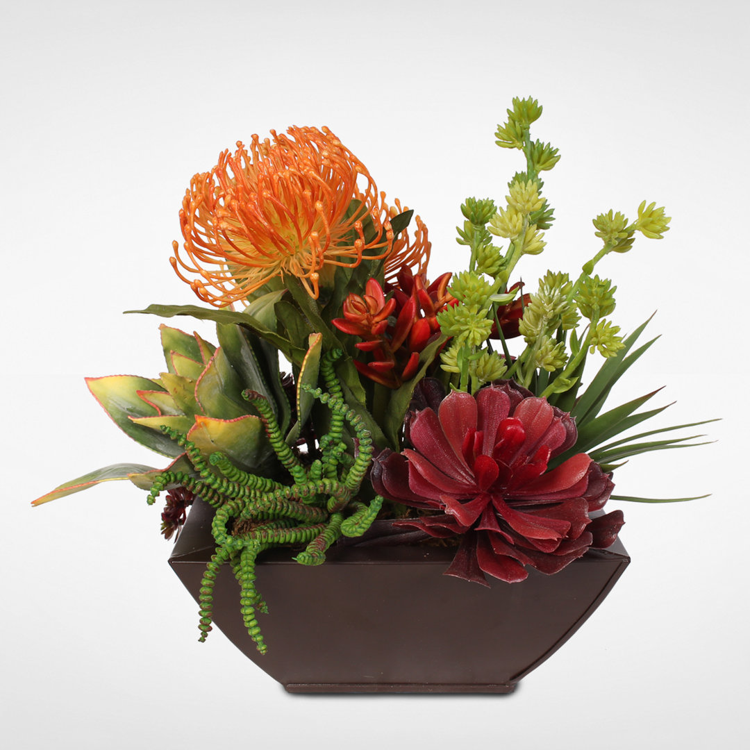 11'' Succulent Plant in Planter Ebern Designs