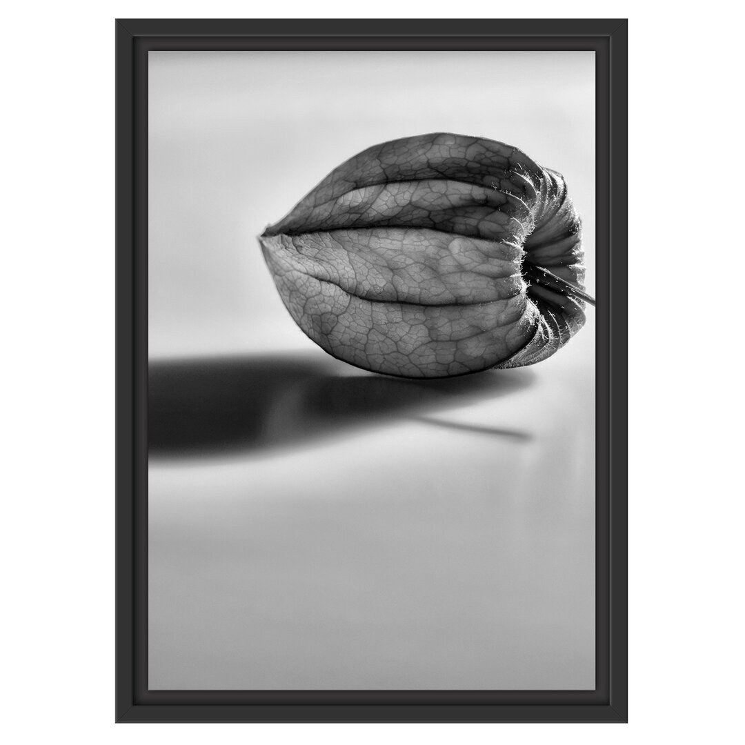 Gerahmtes Wandbild kleine Physalis