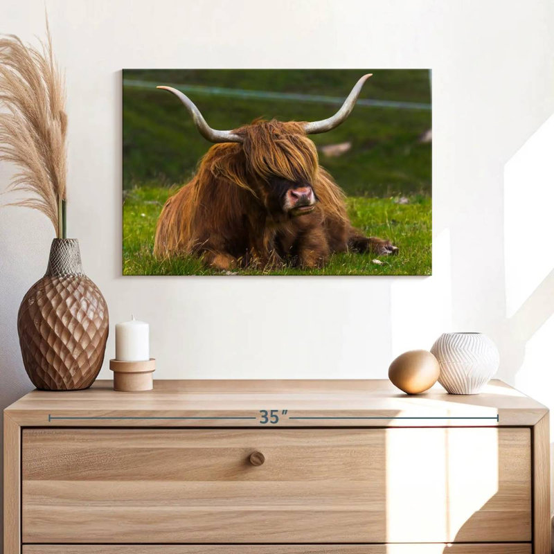 Highland Cow On Grass, 16" H x 24" W