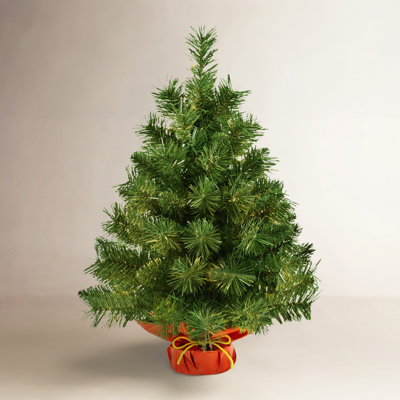 Spruce Christmas Tree