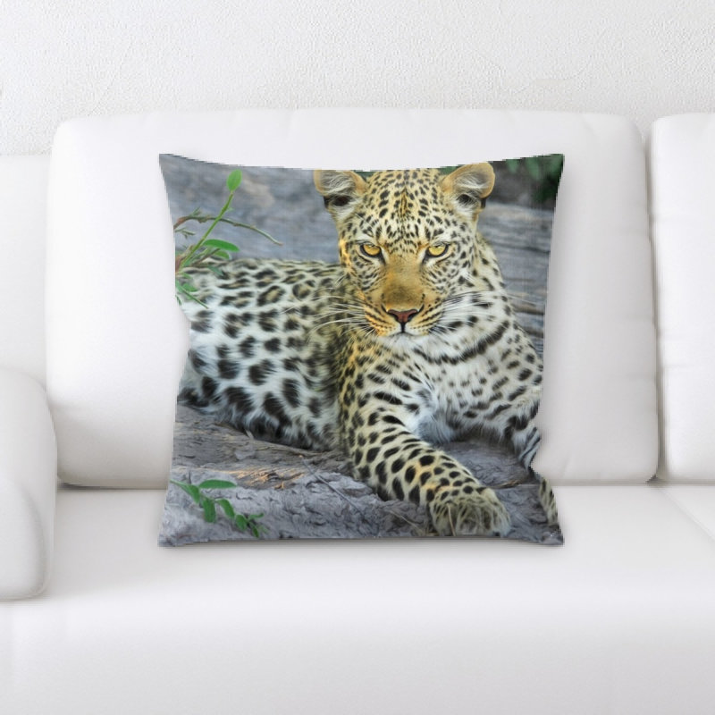 Housse et insert de coussin carré Leopard