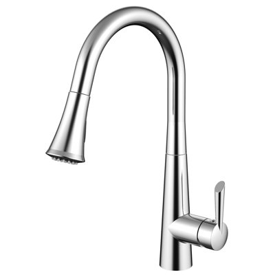 Daweier Pull Out Kitchen Faucet
