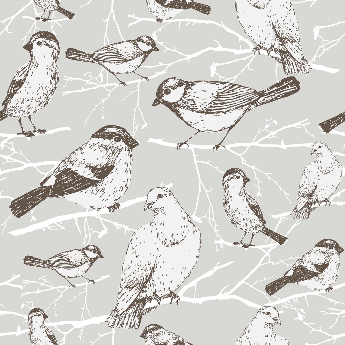 Grey sale bird wallpaper