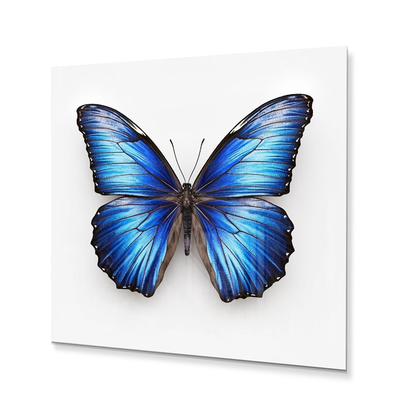 «Vibrant Blue Butterfly II», reproduction sans cadre sur métal, H 16 po x l 16 po x P 1 po