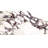 Cala Rosso 12" x 24" Viola Polished Porcelain Tile