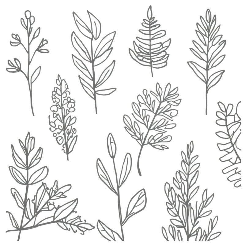 Dessin au trait de couvertures de feuillage, L 60 po x H 80 po